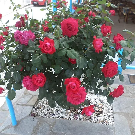 Euro Park Hotel Astris