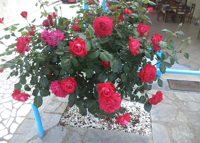 Euro Park Hotel Astris